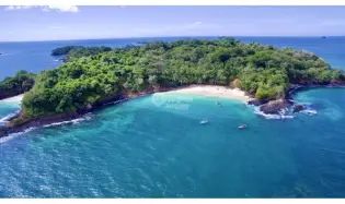 COMPLETE ISLAND FOR SALE IN THE GULF OF CHIRIQUI - 8 HECTARES