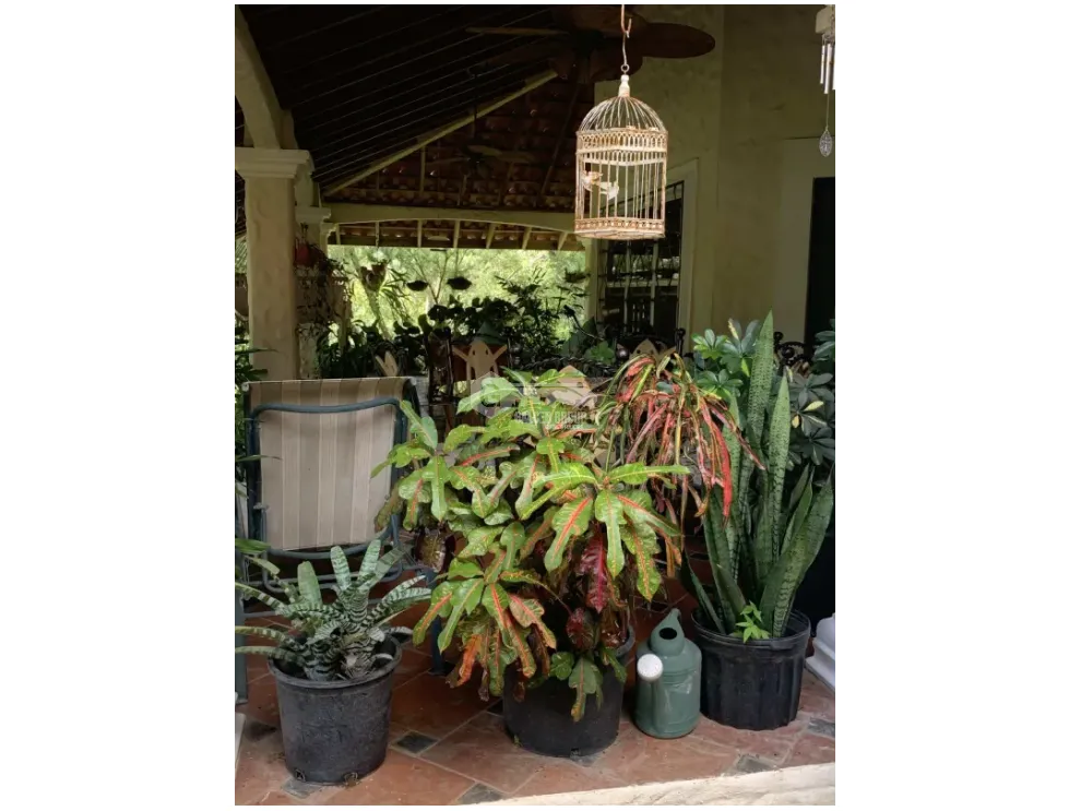 CHITRÉ / COUNTRY ESTATE / 4300 M2 / WITH GUEST HOUSE