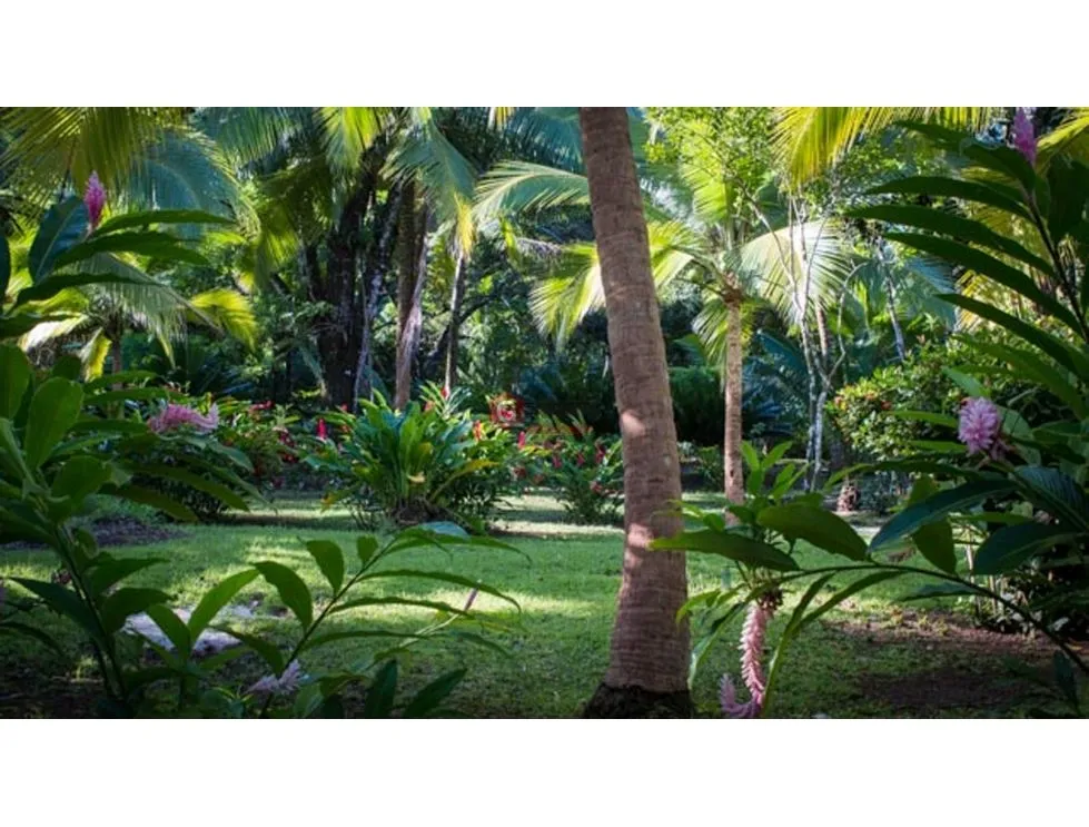 COMMERCIAL LAND / SWIMMING POOL / OCEANFRONT / PORTOBELO / 5500M