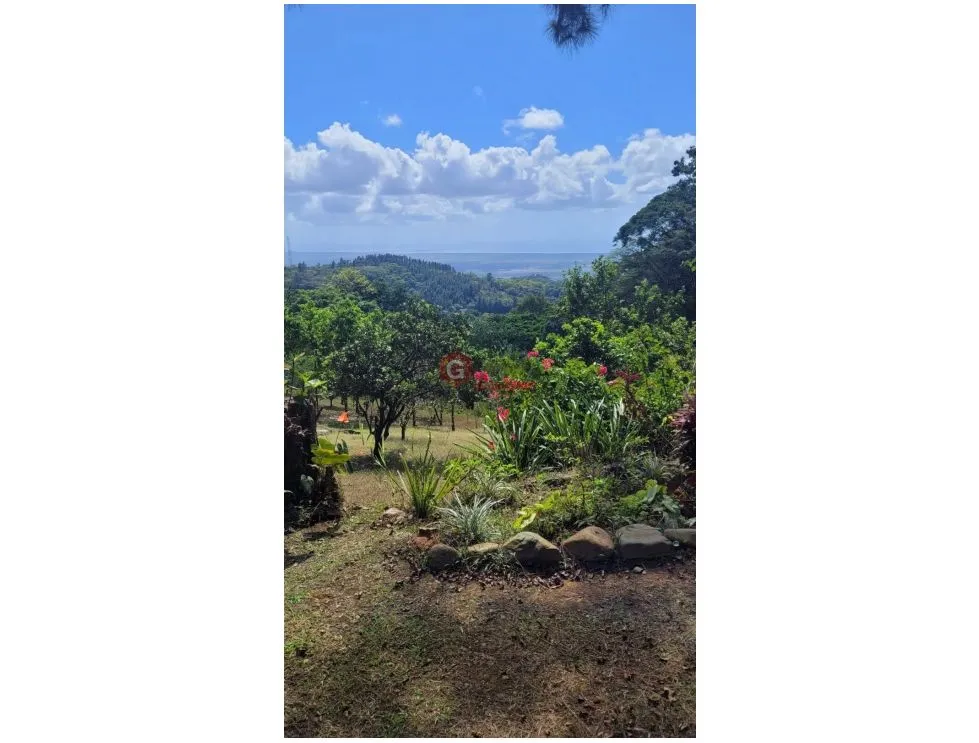 CERRO AZUL / PRIVATE ESTATE / 2 HOUSES / 4.5 HECTARES / 3 BEDROOMS