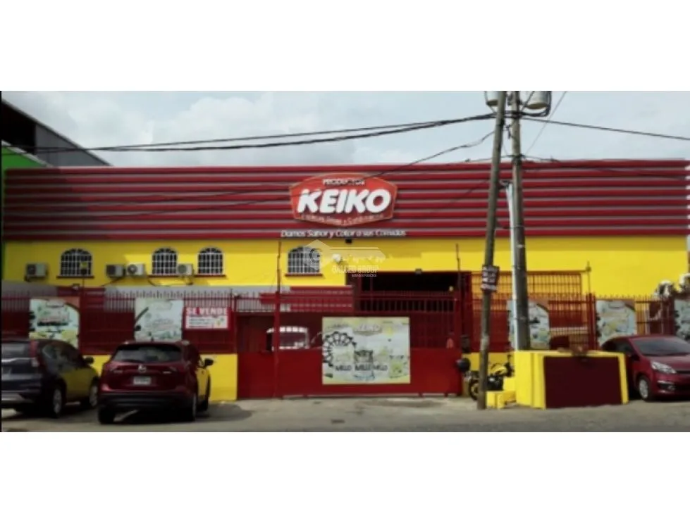La Chorrera / Commercial Property with Warehouse / 4,400m² / 2 Levels