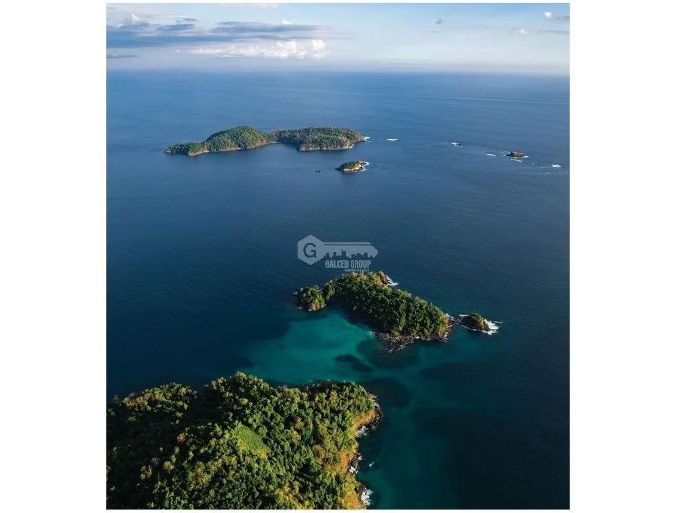 COMPLETE ISLAND / GOLFO CHIRIQUI / 8 HECTARES + 4000m2 / NEGOTIABLE