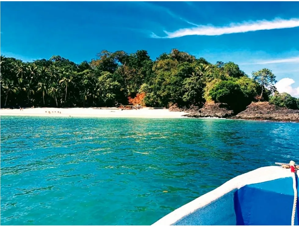 COMPLETE ISLAND / GOLFO CHIRIQUI / 8 HECTARES + 4000m2 / NEGOTIABLE