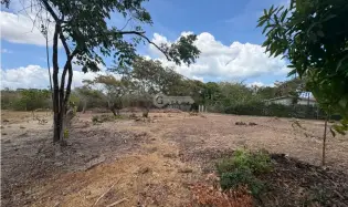 SAN JOSE / 1000M / FLAT LAND / ON THE ROAD / CLOSE TO BEACH / AG