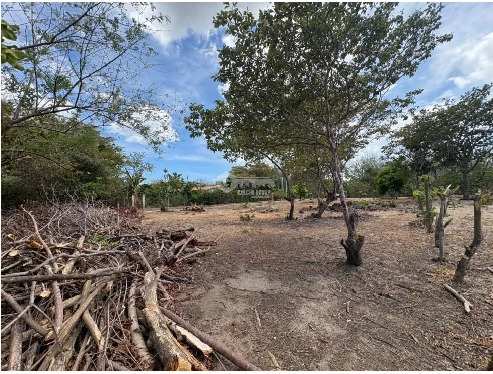 SAN JOSE / 1000M / FLAT LAND / ON THE ROAD / CLOSE TO BEACH / AG