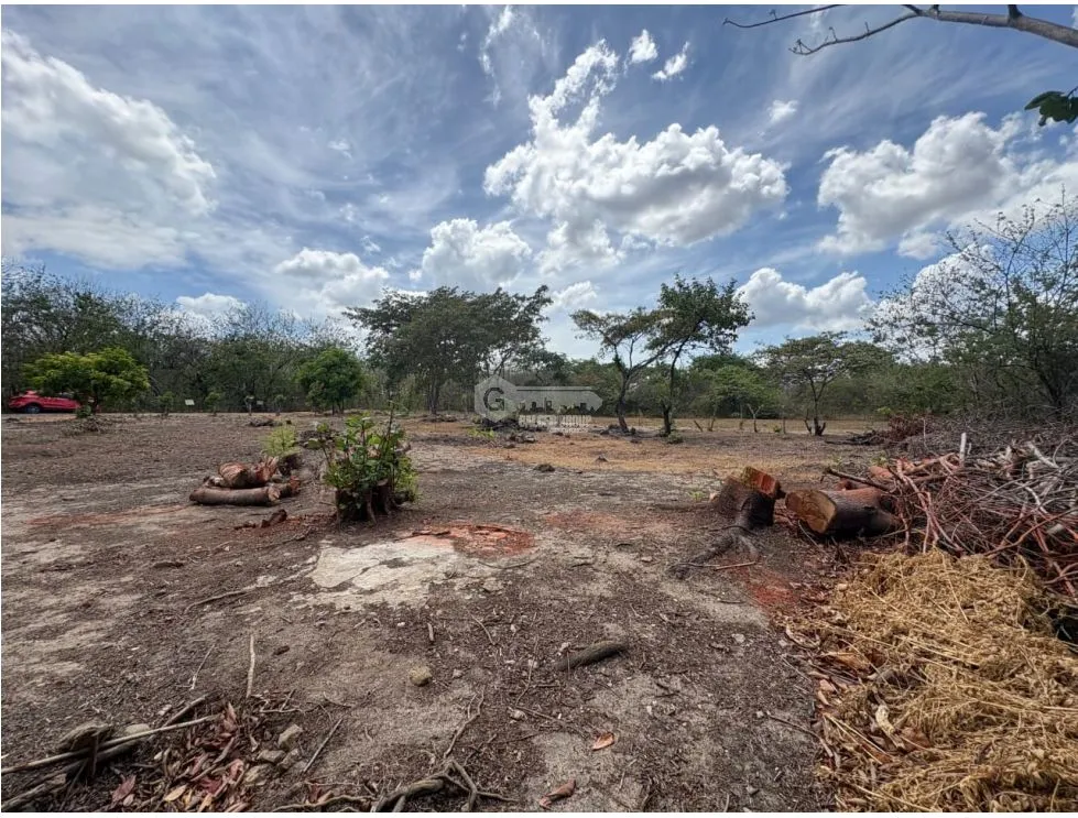 SAN JOSE / 1000M / FLAT LAND / ON THE ROAD / CLOSE TO BEACH / AG