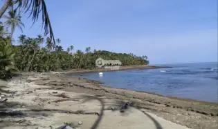 COLON / PLAYA CHIQUITA / 100 HECTAREAS / PARA DESARROLLO FRENTE AL MAR