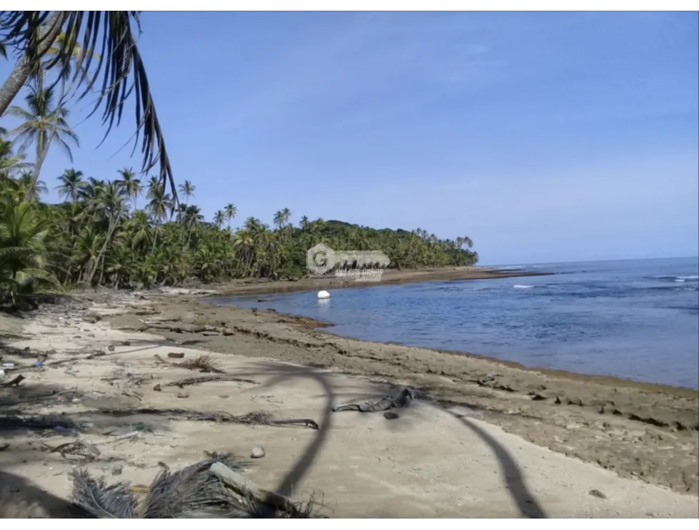 COLON / PLAYA CHIQUITA / 100 HECTAREAS / PARA DESARROLLO FRENTE AL MAR