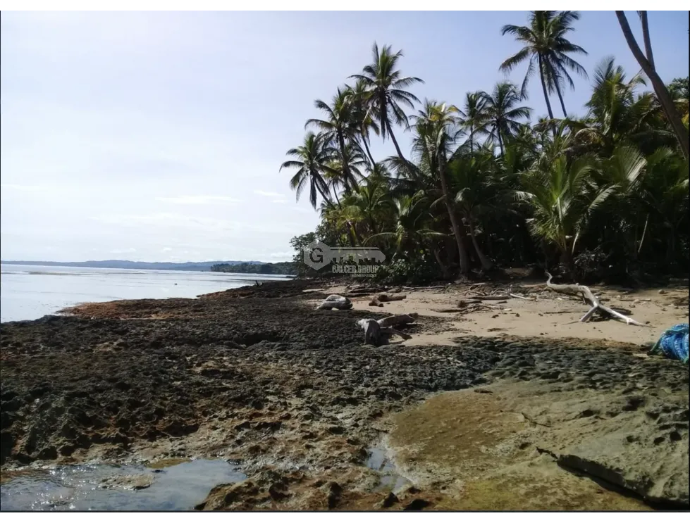 COLON / PLAYA CHIQUITA / 100 HECTAREAS / PARA DESARROLLO FRENTE AL MAR