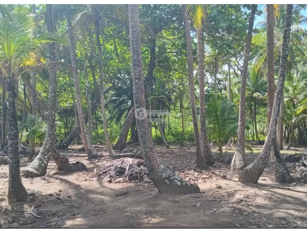COLON / PLAYA CHIQUITA / 100 HECTAREAS / PARA DESARROLLO FRENTE AL MAR