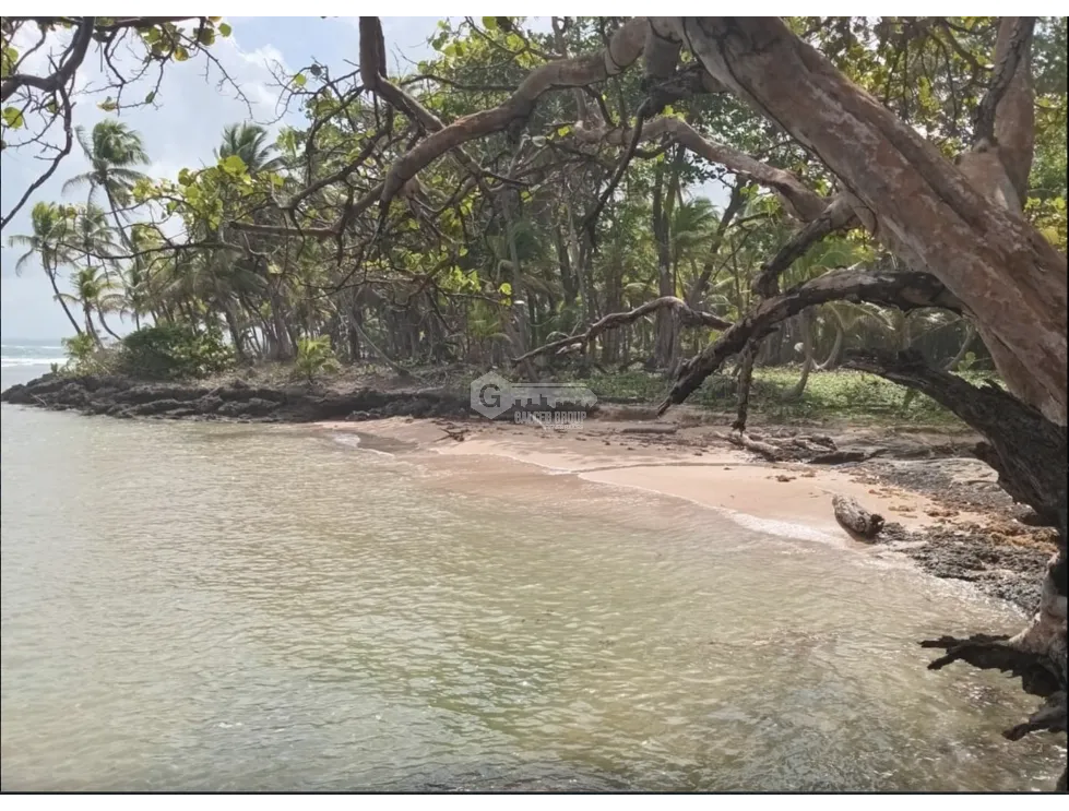 COLON / PLAYA CHIQUITA / 100 HECTAREAS / PARA DESARROLLO FRENTE AL MAR