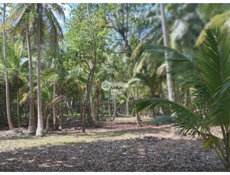 COLON / PLAYA CHIQUITA / 100 HECTAREAS / PARA DESARROLLO FRENTE AL MAR