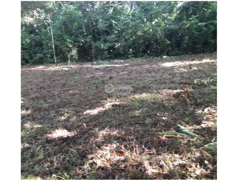 Land/Farm for sale in Chorrera