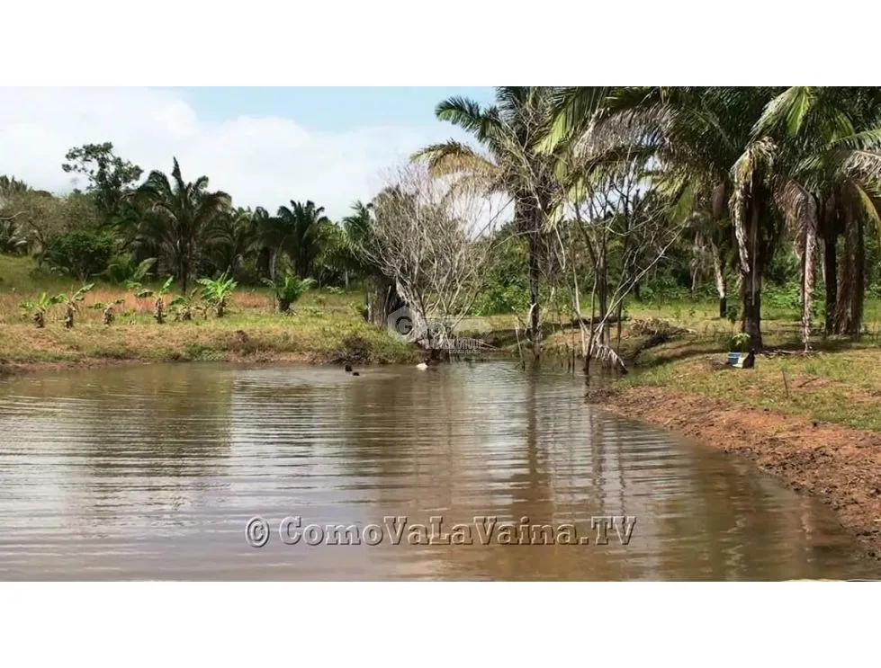 Land/Farm for sale in Chorrera