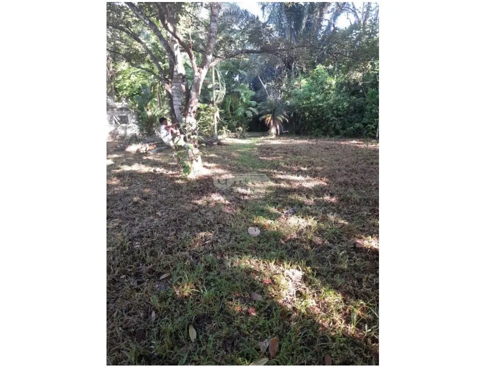 Land/Farm for sale in Chorrera