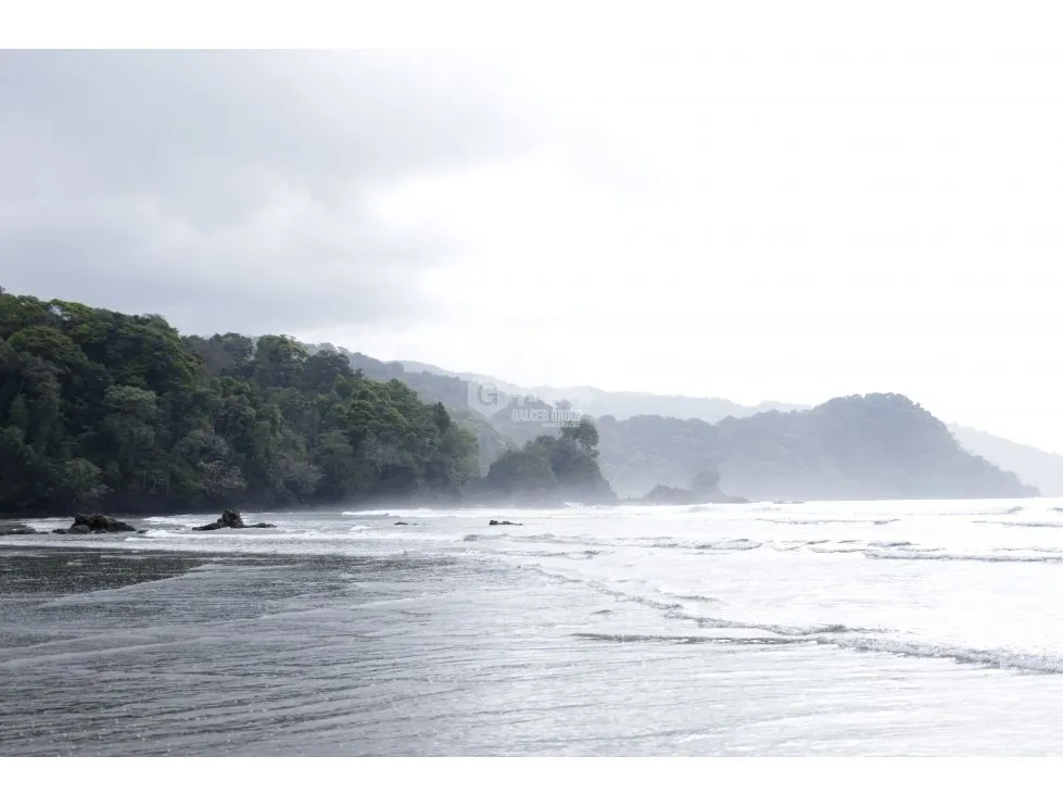 DARIEN / BAHIA PIÑA / 820 HECTAREAS / ISLA TOTALMENTE VIRGEN / AG