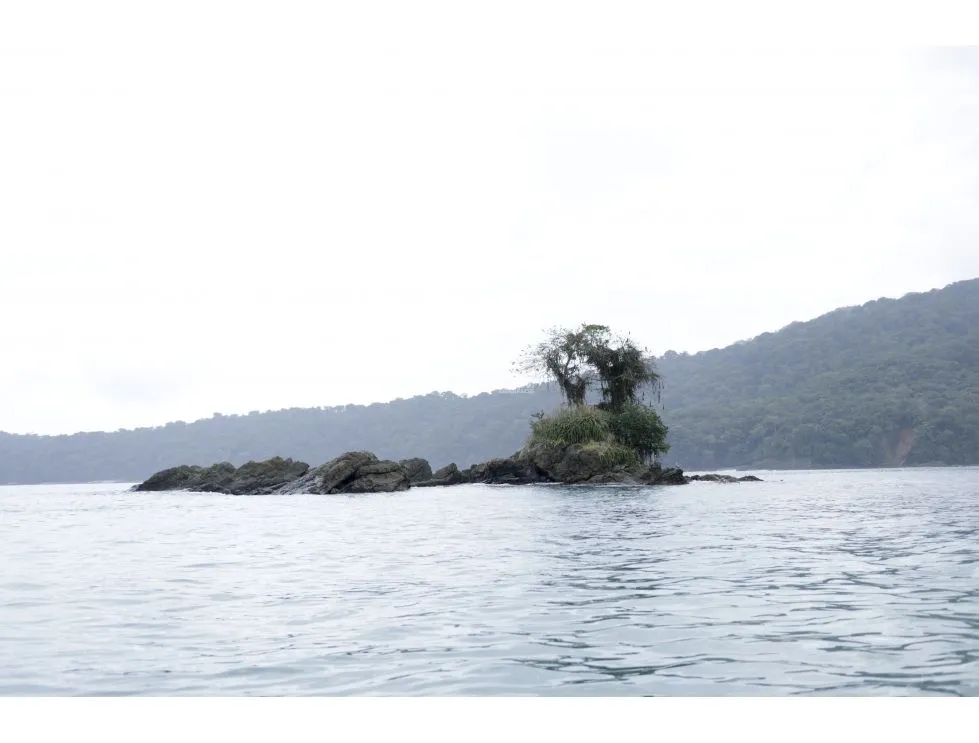 DARIEN / BAHIA PIÑA / 820 HECTAREAS / ISLA TOTALMENTE VIRGEN / AG