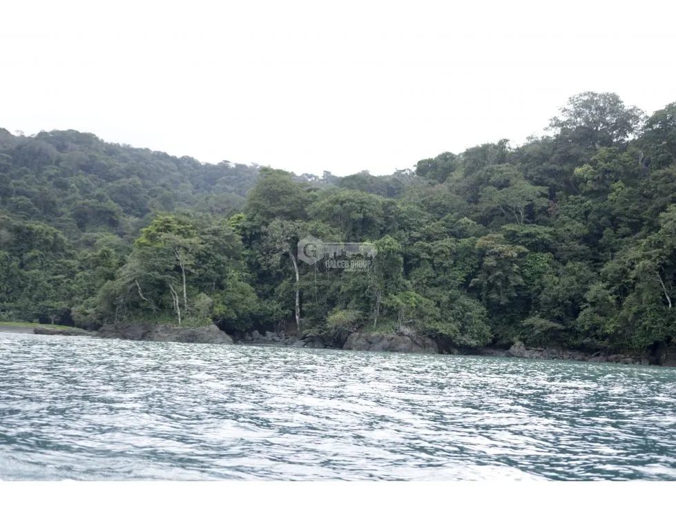 DARIEN / BAHIA PIÑA / 820 HECTAREAS / ISLA TOTALMENTE VIRGEN / AG