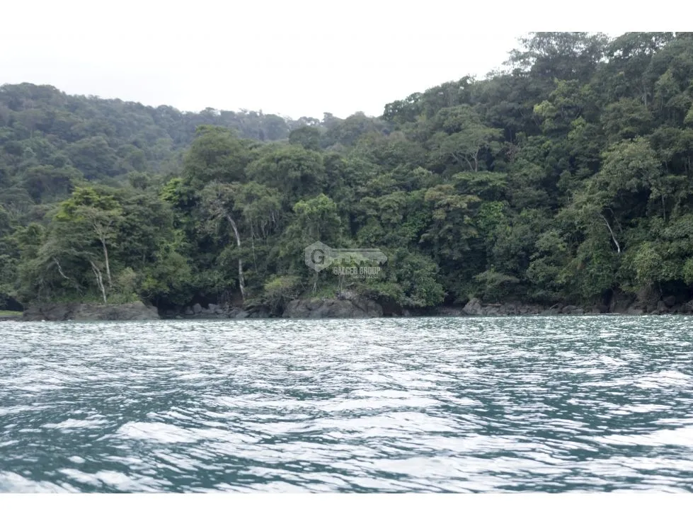 DARIEN / BAHIA PIÑA / 820 HECTAREAS / ISLA TOTALMENTE VIRGEN / AG