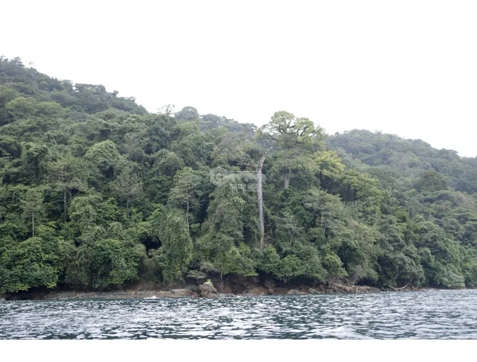 DARIEN / BAHIA PIÑA / 820 HECTAREAS / ISLA TOTALMENTE VIRGEN / AG