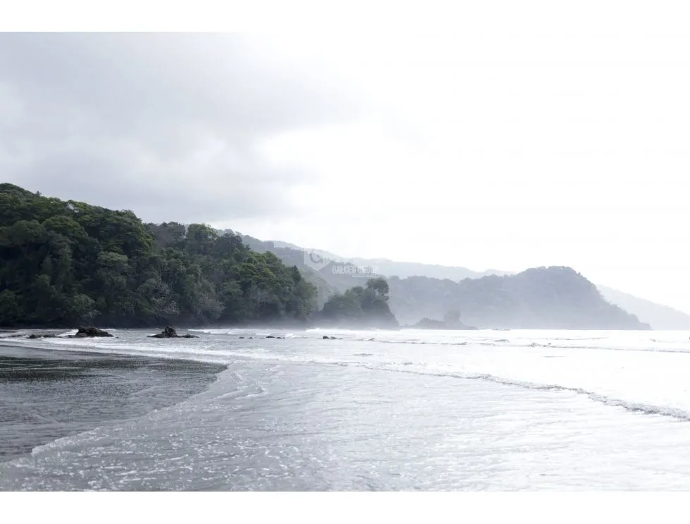 DARIEN / BAHIA PIÑA / 820 HECTAREAS / ISLA TOTALMENTE VIRGEN / AG