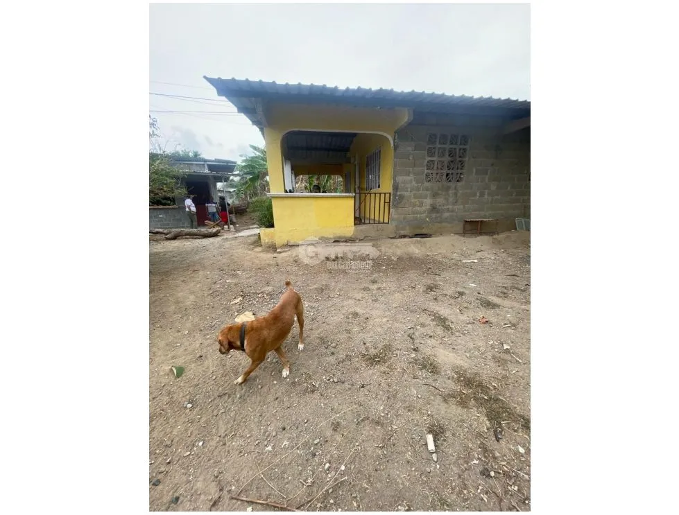 House with Commercial Land for Sale in Gonzalillo - 470m² on Main Road