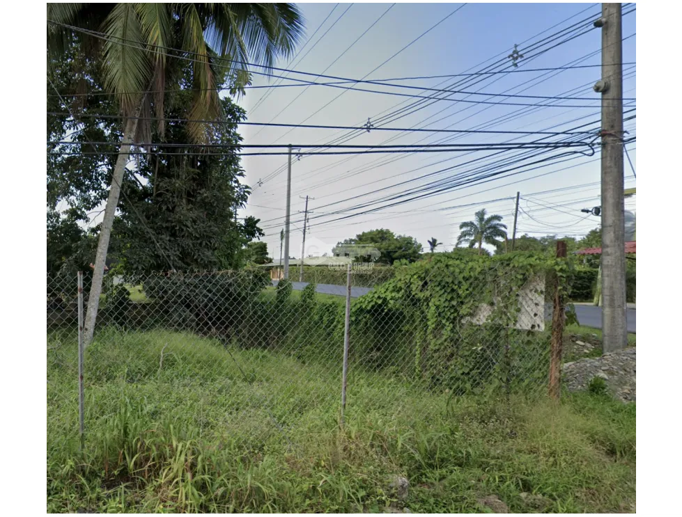 LAND / BOCAS DEL TORO / CHANGUINOLA / 2442M / MAIN AVENUE