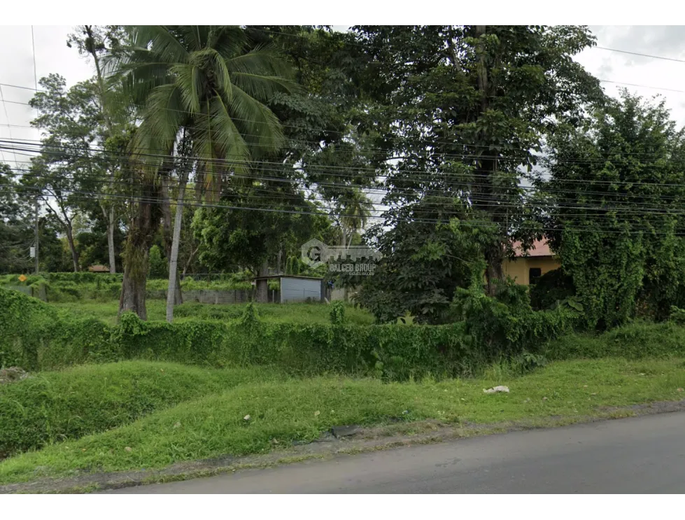 LAND / BOCAS DEL TORO / CHANGUINOLA / 2442M / MAIN AVENUE
