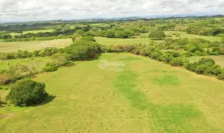 TITLED AGRICULTURAL PROPERTY FOR SALE - IDEAL FOR LIVESTOCK IN PARITA, HERRERA