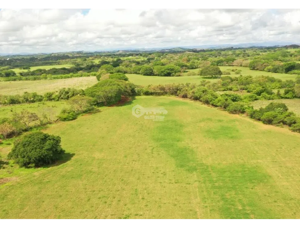 TITLED AGRICULTURAL PROPERTY FOR SALE - IDEAL FOR LIVESTOCK IN PARITA, HERRERA