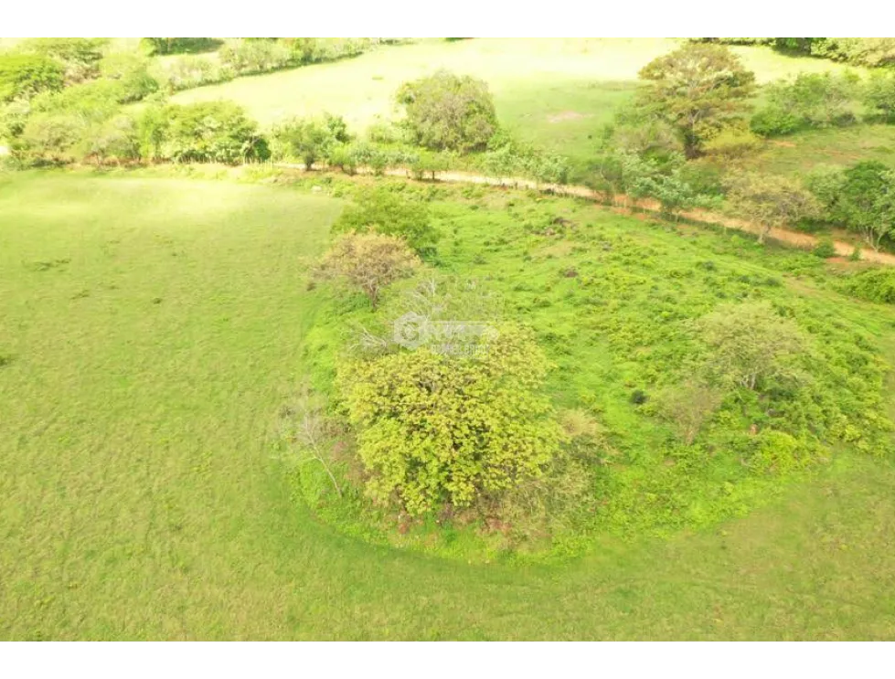 TITLED AGRICULTURAL PROPERTY FOR SALE - IDEAL FOR LIVESTOCK IN PARITA, HERRERA