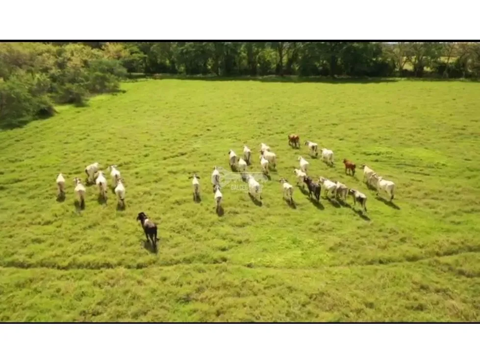 TITLED AGRICULTURAL PROPERTY FOR SALE - IDEAL FOR LIVESTOCK IN PARITA, HERRERA