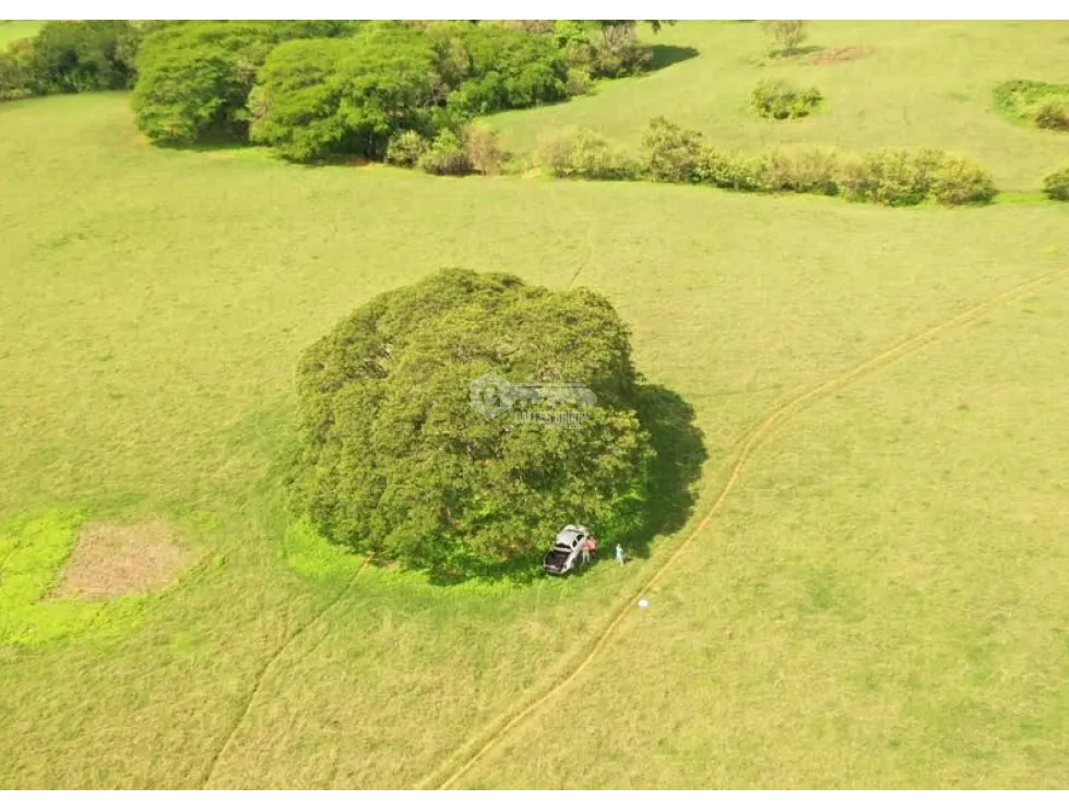 TITLED LAND FOR SALE - 13 HECTARES IN PARITA, HERRERA