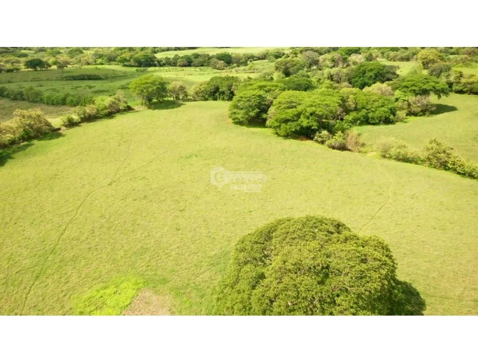 TITLED LAND FOR SALE - 13 HECTARES IN PARITA, HERRERA