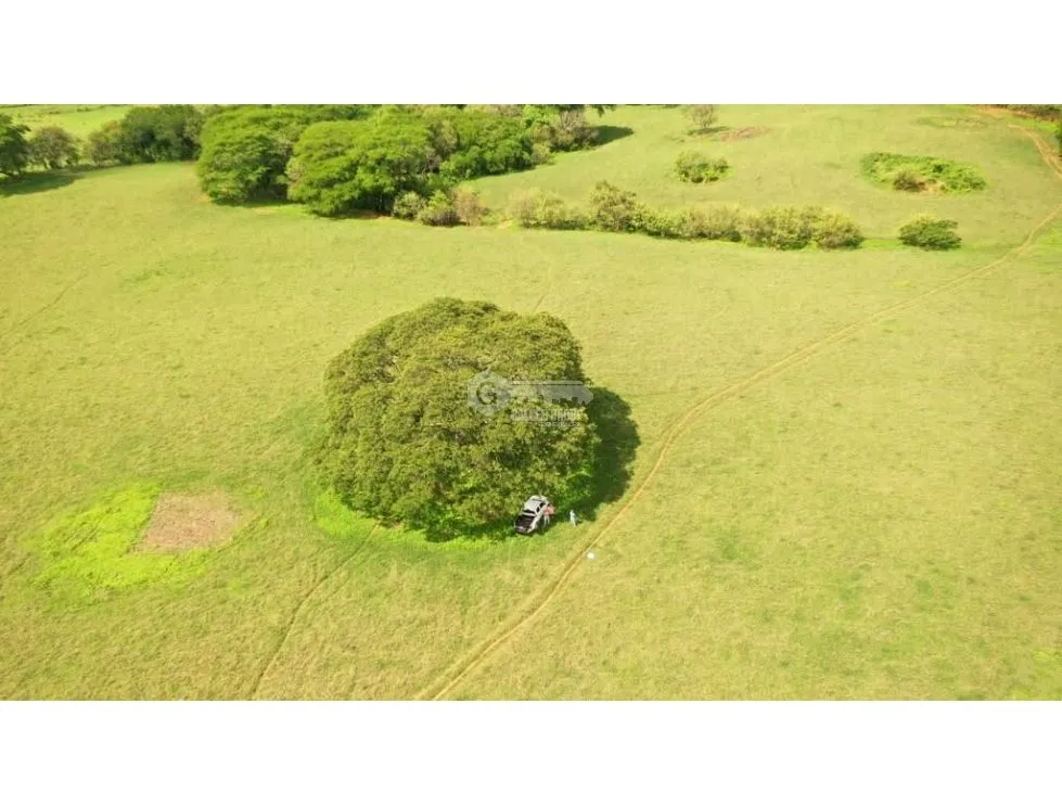 TITLED LAND FOR SALE - 13 HECTARES IN PARITA, HERRERA