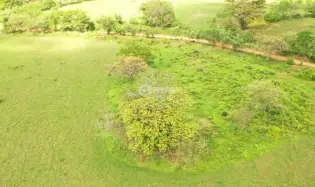 PARITA / HERRERA / IDEAL FOR AGRICULTURE AND LIVESTOCK / 13 HECTARES