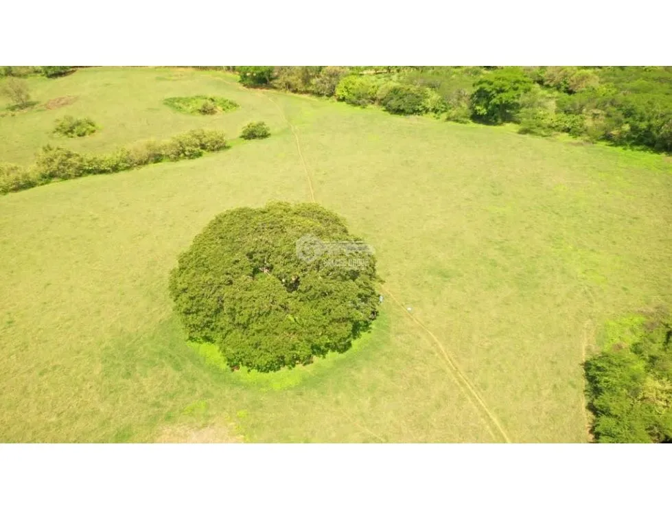 PARITA / HERRERA / IDEAL FOR AGRICULTURE AND LIVESTOCK / 13 HECTARES