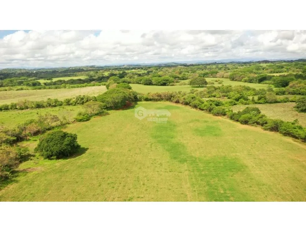 PARITA / HERRERA / IDEAL FOR AGRICULTURE AND LIVESTOCK / 13 HECTARES