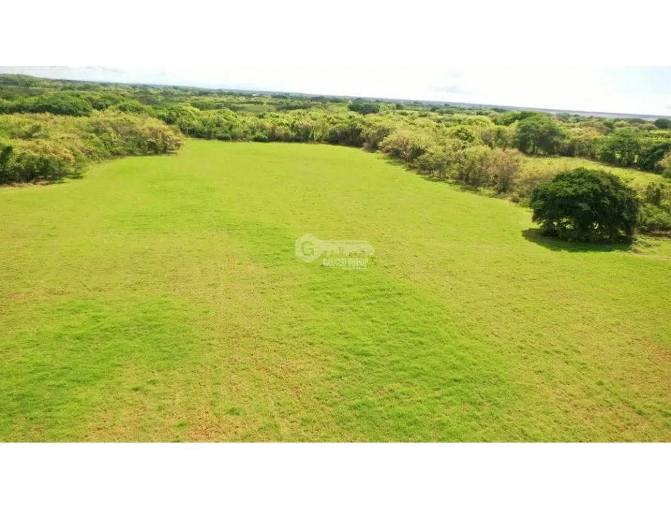HERRERA / PARITA / 13 HECTARES / IDEAL FOR AGRICULTURE AND LIVESTOCK