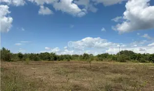 COCLE / RIO HATO / 110 HECTARES / ROADFRONT / COMMERCIAL USE / AGRICULTURE