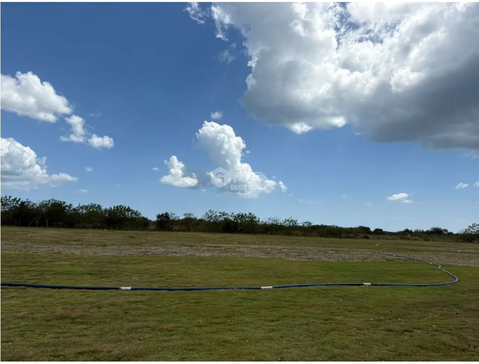 COCLE / RIO HATO / 110 HECTARES / ROADFRONT / COMMERCIAL USE / AGRICULTURE