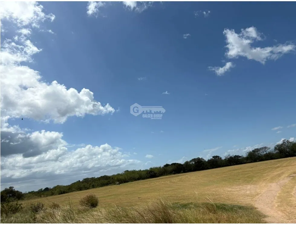 COCLE / RIO HATO / 110 HECTARES / ROADFRONT / COMMERCIAL USE / AGRICULTURE