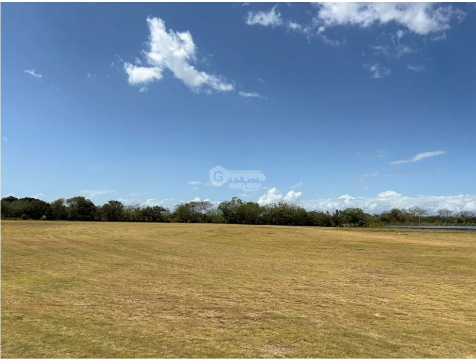 COCLE / RIO HATO / 110 HECTARES / ROADFRONT / COMMERCIAL USE / AGRICULTURE