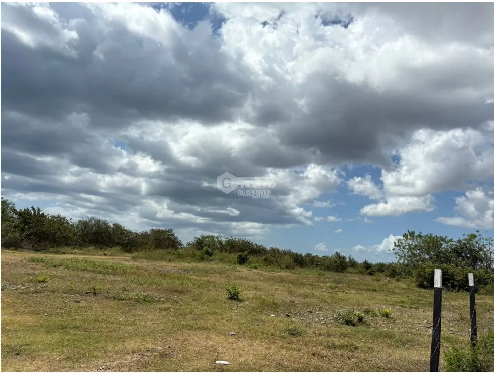 COCLE / RIO HATO / 110 HECTARES / ROADFRONT / COMMERCIAL USE / AGRICULTURE