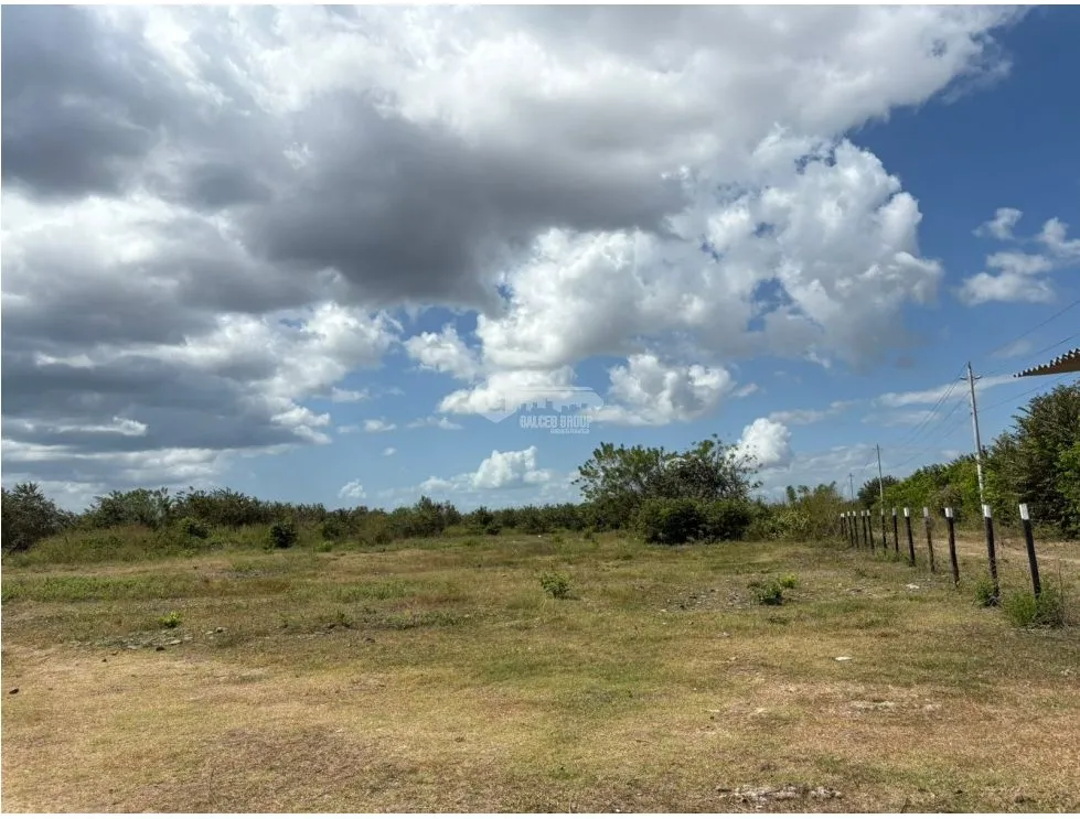 COCLE / RIO HATO / 110 HECTARES / ROADFRONT / COMMERCIAL USE / AGRICULTURE