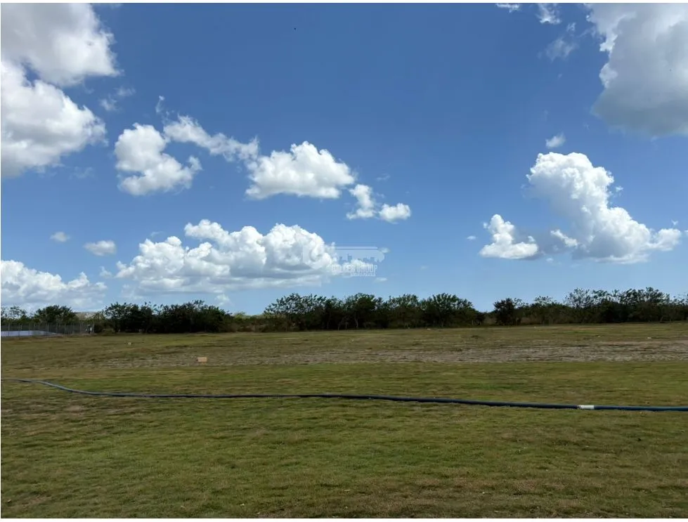 COCLE / RIO HATO / 110 HECTARES / ON MAIN ROAD / COMMERCIAL USE / AGRICULTURAL