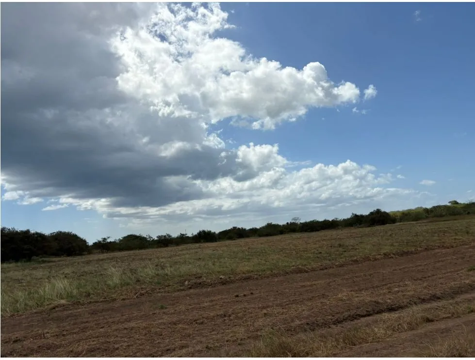 COCLE / RIO HATO / 110 HECTARES / ON MAIN ROAD / COMMERCIAL USE / AGRICULTURAL