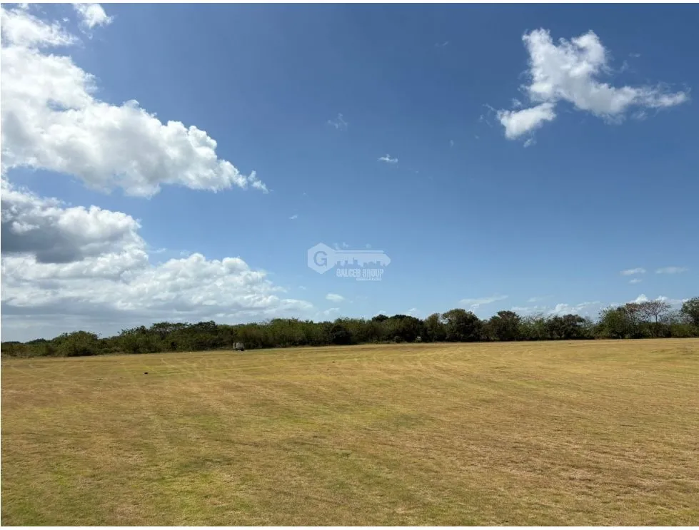 COCLE / RIO HATO / 110 HECTARES / ON MAIN ROAD / COMMERCIAL USE / AGRICULTURAL
