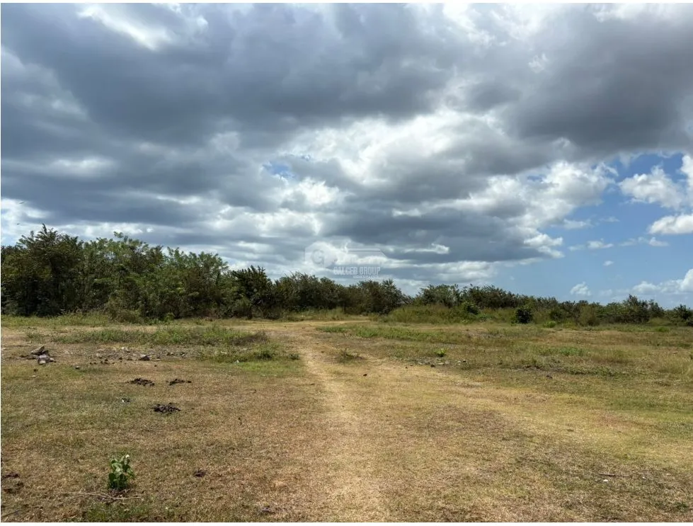 COCLE / RIO HATO / 110 HECTARES / ON MAIN ROAD / COMMERCIAL USE / AGRICULTURAL