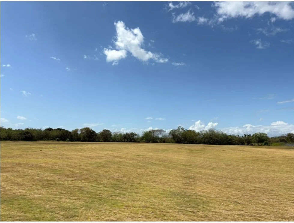 COCLE / RIO HATO / 110 HECTARES / ON MAIN ROAD / COMMERCIAL USE / AGRICULTURAL